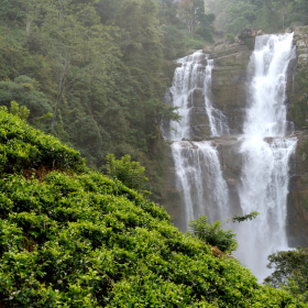 Why Coorg Is the Ultimate Weekend Escape...