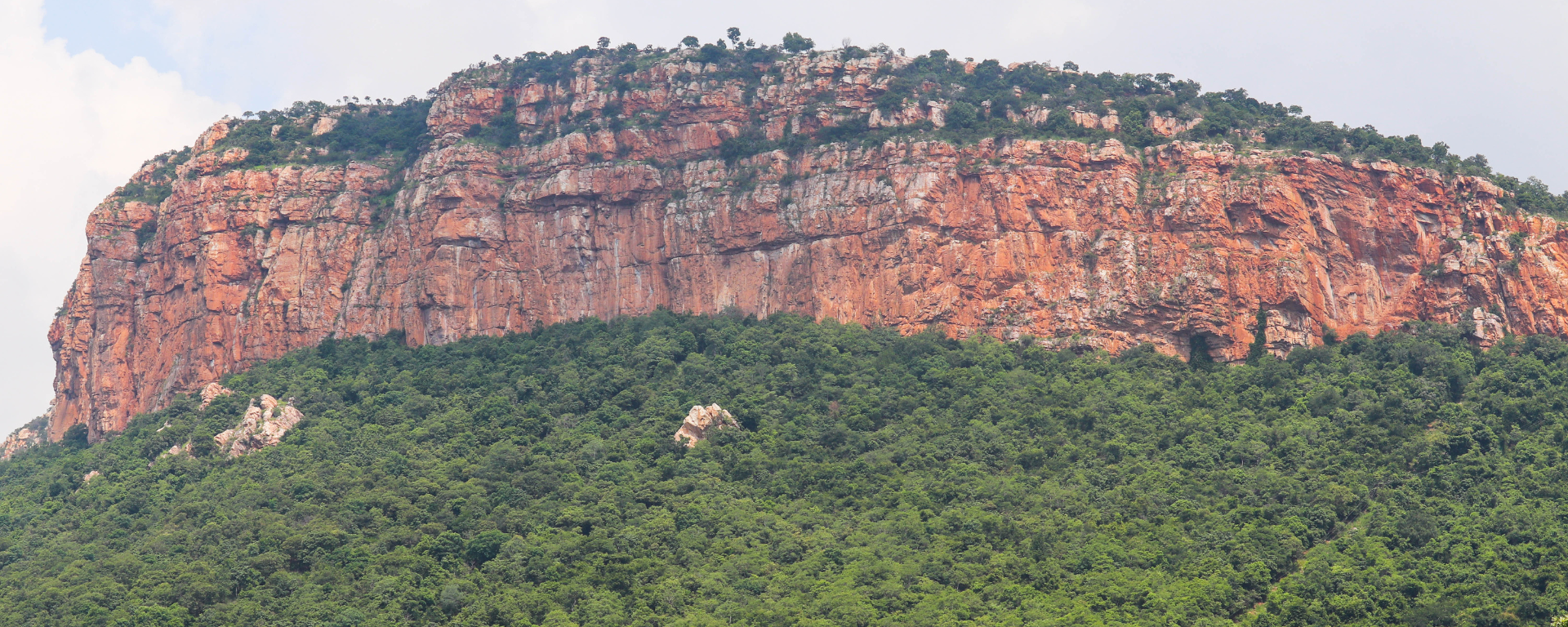 A Complete Guide to Tirupati Balaji Darshan...
